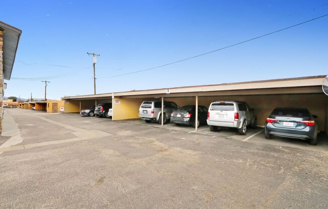 1 bed, 1 bath, 464 sqft, $1,495, Unit 204