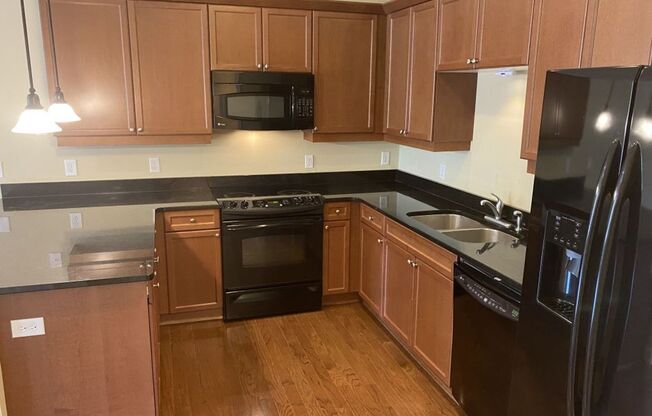 1 bed, 1 bath, $1,375