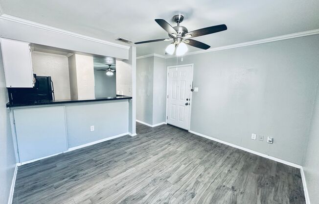 Studio, 1 bath, 500 sqft, $795, Unit 118