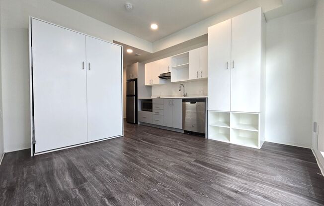 Studio, 1 bath, 226 sqft, $1,174, Unit 317