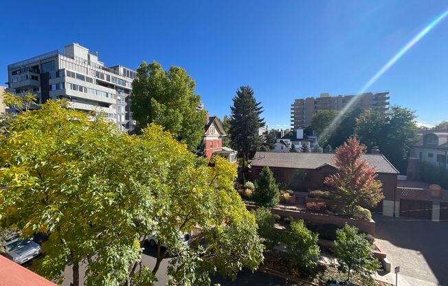 1 bed, 1 bath, 531 sqft, $1,395, Unit 503