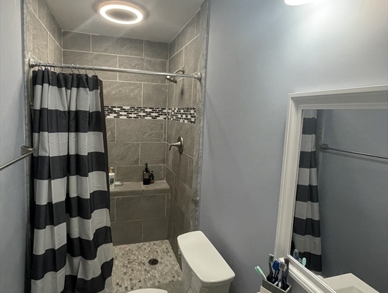 Studio, 1 bath, 238 sqft, $1,299, Unit 3