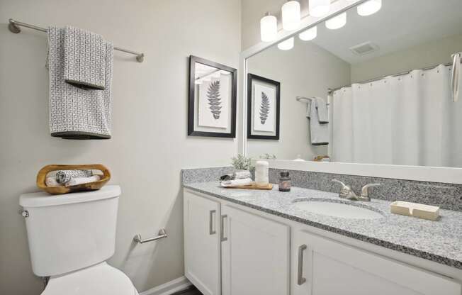 a bathroom with a toilet and a sink and a mirror