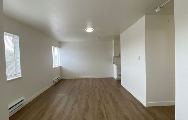 Studio, 1 bath, 405 sqft, $995, Unit Unit 302