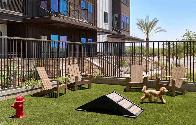 A dog is playing in a yard with a slide and lawn chairs.