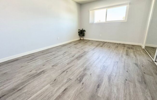 Los Olivos Apartments