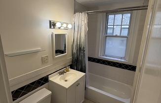 1 bed, 1 bath, 307 sqft, $1,550, Unit 7