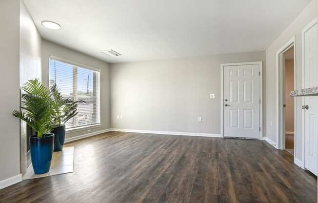 an empty living room with a potted plant and a white door