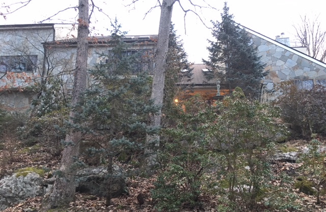 9 SURREY RD