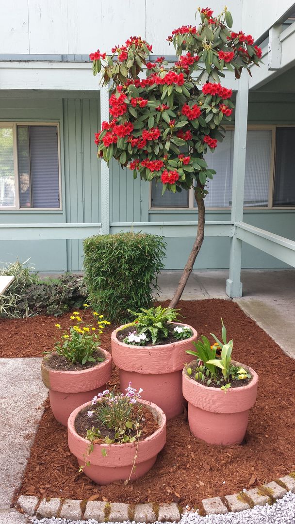 Evergreen Court Apartments