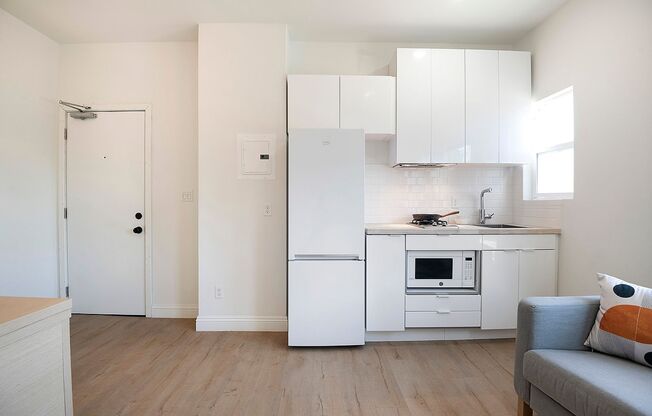 Studio, 1 bath, 214 sqft, $1,600, Unit 117