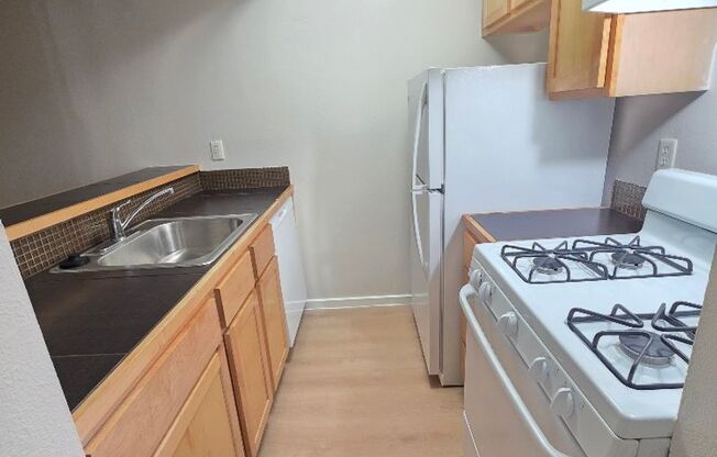 1 bed, 1 bath, 700 sqft, $999, Unit ELP2202-142