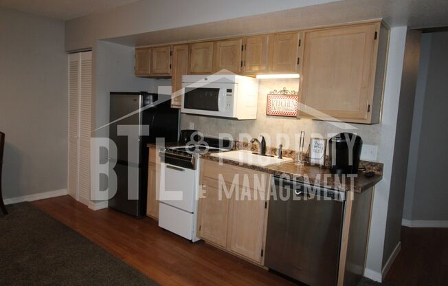 1 bed, 1 bath, $1,200, Unit Unit 3