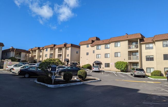 1 bed, 1 bath, 610 sqft, $1,575, Unit A205