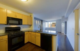 1 bed, 1 bath, $2,100, Unit # #N 518
