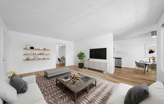 A living room with a grey couch, a coffee table, and a television.