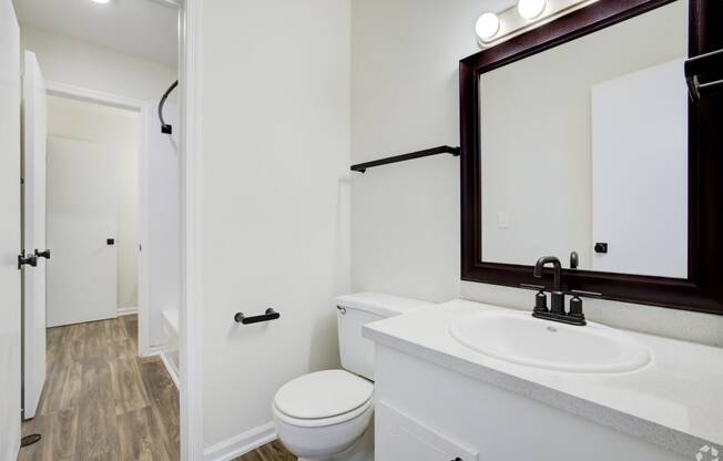 a bathroom with a sink and a toilet and a mirror