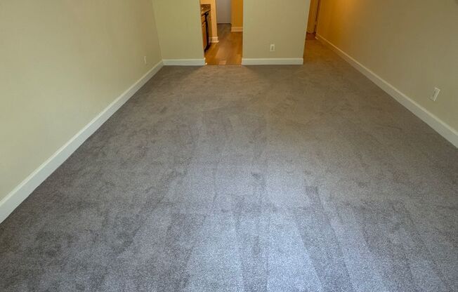 1 bed, 1 bath, 745 sqft, $1,750, Unit 14204 #A1