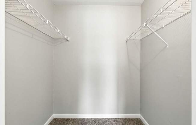 A walk-in closet with a carpeted floor and white walls.