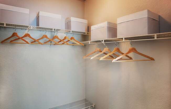 Walk In Closet at Stone Cliff Apartments