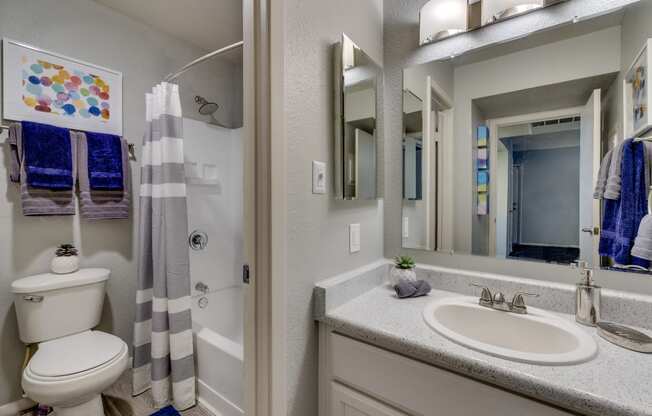 a bathroom with a sink and a toilet and a shower