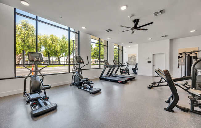 A spacious gym with a variety of equipment and a view of trees outside the large windows.