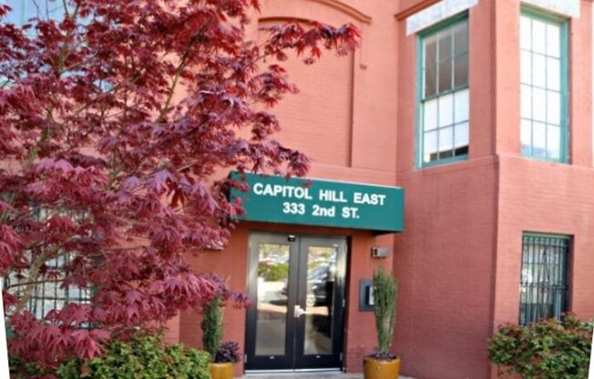 Capitol Hill 1B/ 1B with a View of The Hart Senate Building - Pets Welcome!