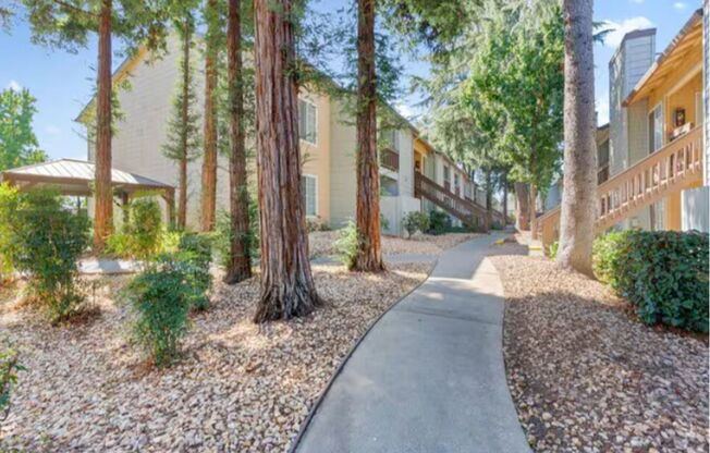 1 bed, 1 bath, 650 sqft, $1,595, Unit 113 - Stainless Package