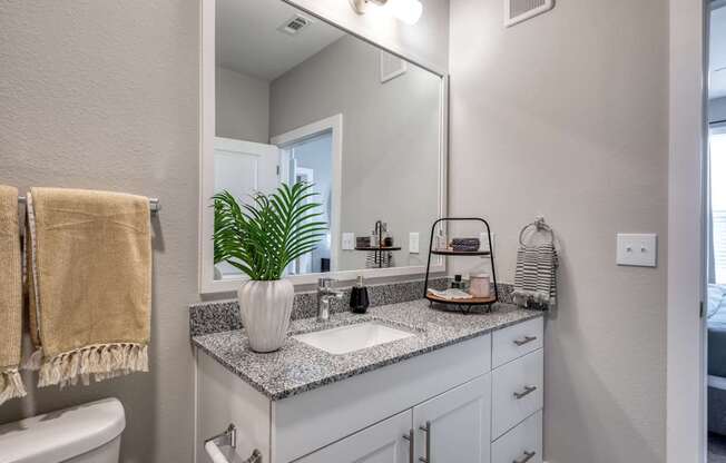 A bathroom with a white counter top and a large mirror.