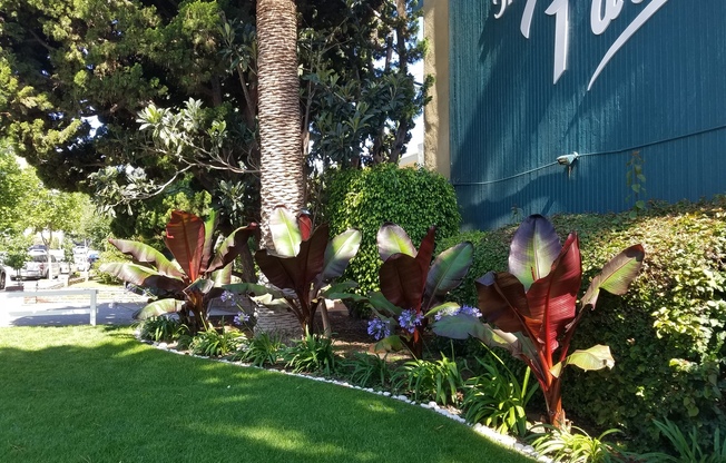 Palms Garden Apartments - the Tropical Gem of the South Torrance