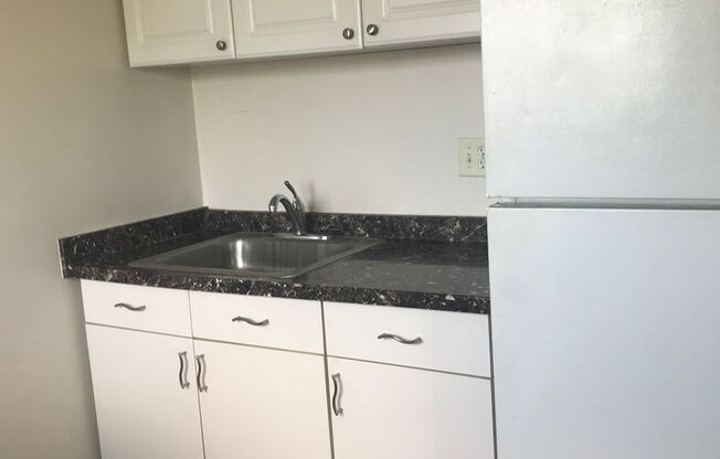 Studio, 1 bath, $1,595, Unit 3239-4