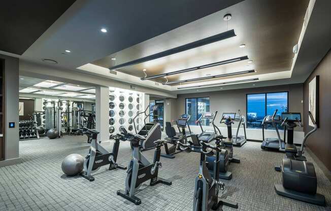 State-of-the-Art Fitness Center at Windsor Oak Hill, 6701 Rialto Blvd, TX