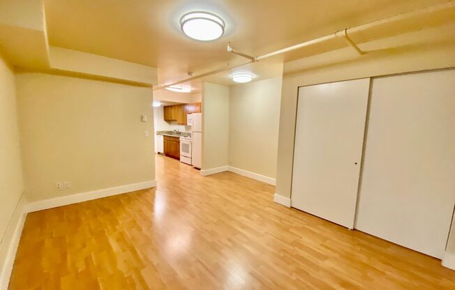 Studio, 1 bath, 393 sqft, $1,445, Unit 113
