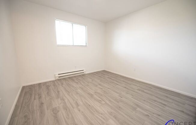 1 bed, 1 bath, 480 sqft, $920, Unit 162