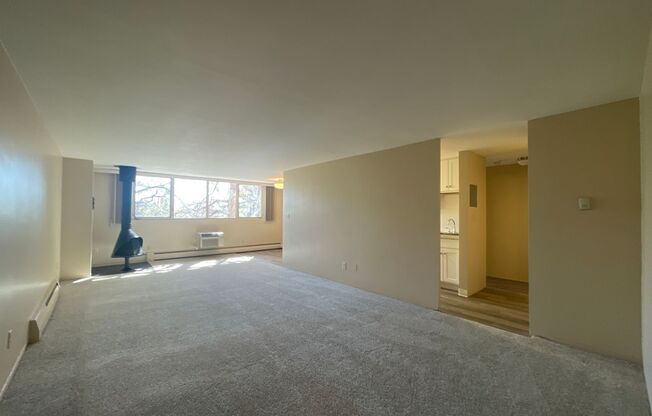 Fully Updated 2 Bed/ 2 Bath Apartment in Capital Hill