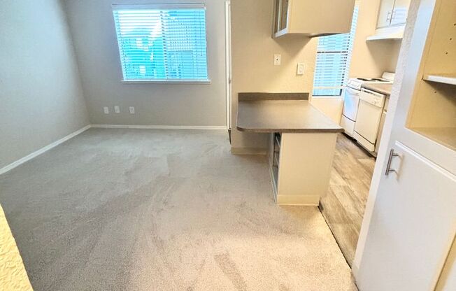 1 bed, 1 bath, $1,295, Unit 57