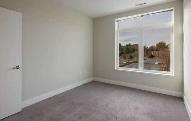 Carpeted Bedroom