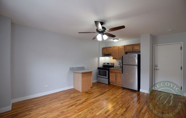 Studio, 1 bath, 250 sqft, $1,250, Unit 7450-34