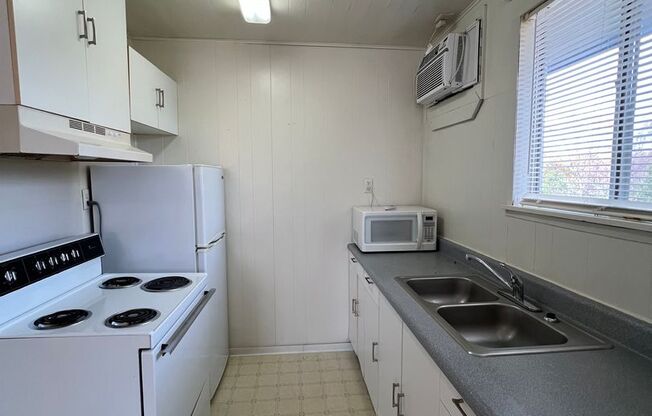 Studio, 1 bath, $450, Unit Unit 3