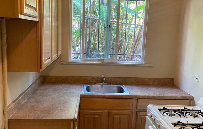 Studio, 1 bath, 450 sqft, $1,500, Unit SUN07