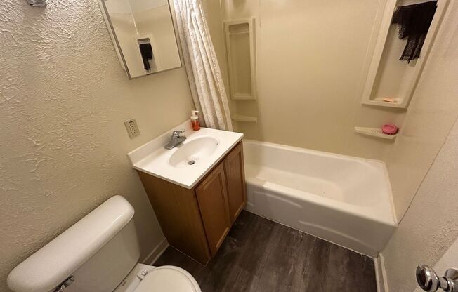 Studio, 1 bath, $750, Unit 317