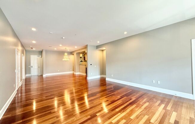 Luxurious Downtown Raleigh Condo with High Ceilings, Tons of Natural Light, and Within Walking Distance to Shopping, Dining, and Entertainment Options