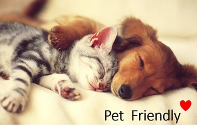 1 bed, 1 bath, 525 sqft, $1,250, Unit 85