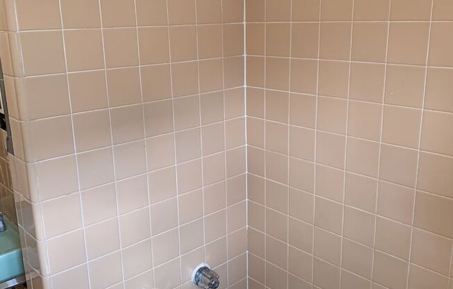 3 beds, 1 bath, $2,150, Unit 410C