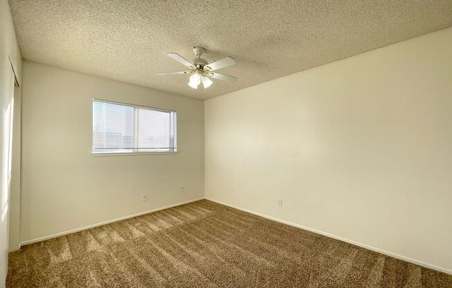 2 beds, 1 bath, $1,250