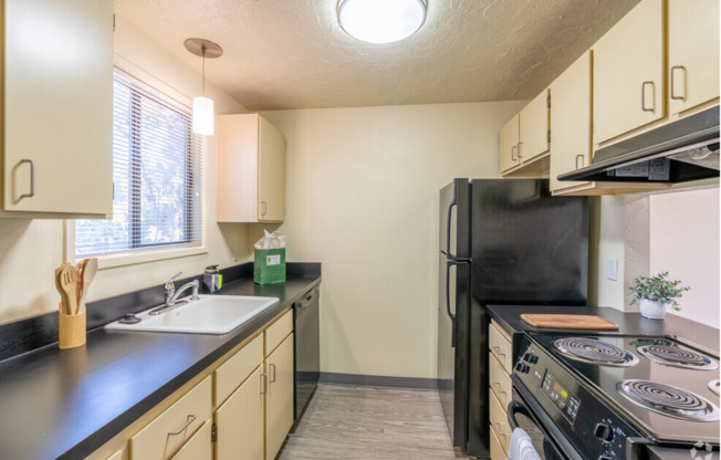 1 MONTH FREE RENT! Spacious One Bedroom with In-Unit Washer/Dryer!