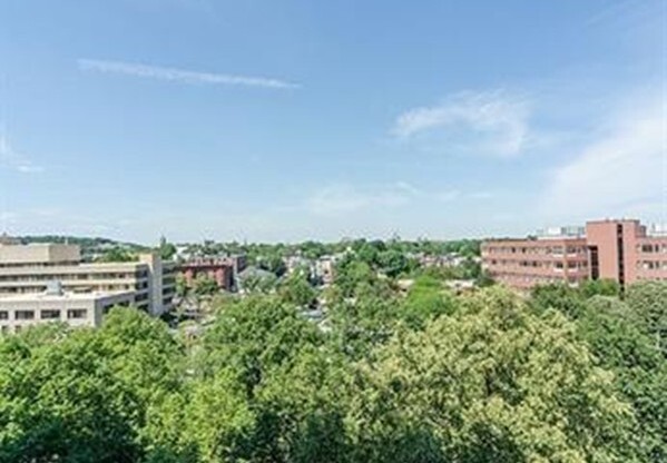Studio, 1 bath, 500 sqft, $2,375, Unit 913