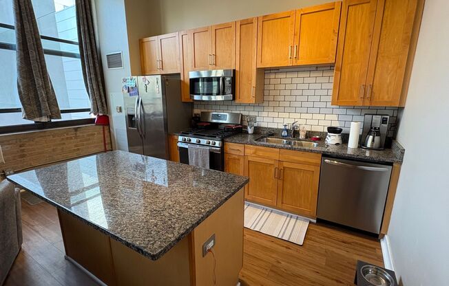 South Loop Chicago 1 Bed 1 Bath Apartment