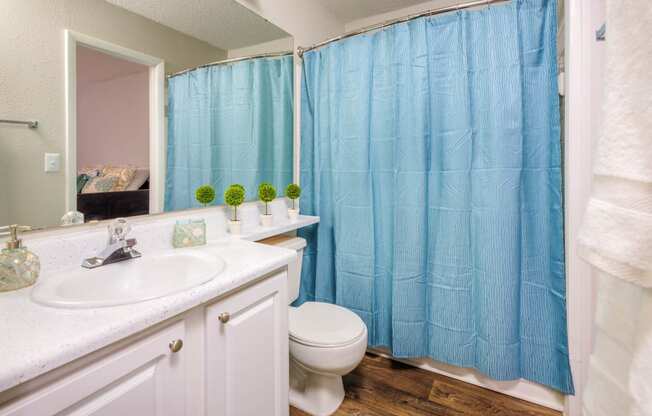 Luxurious Bathroom at The Pointe at Irving Park, North Carolina, 27408