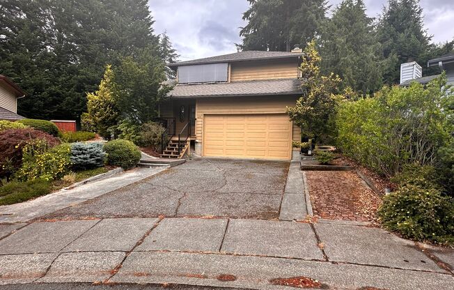 Beautiful Bellevue Home Available August 1st